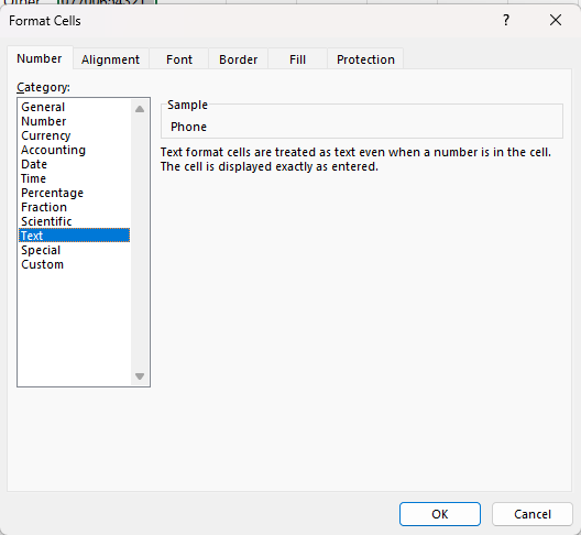 A screenshot of Excel's "Format Cells" panel with "Text" selected