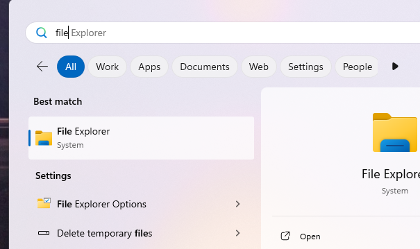 Entering File Explorer into the Windows 11 search bar