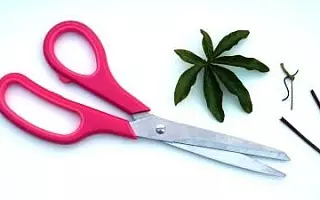 A pair of scissors with a pink handle